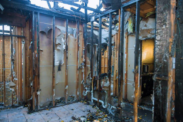 Professional Fire Damage Removal technician working in Kayak Point, WA